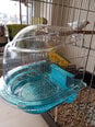 Savic baseinas paukščiams Splash, 14x15x16 cm