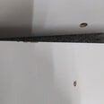 Dangtis mikrobangų krosnelei Rotho BASIC, 30 cm