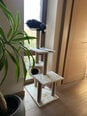 Draskyklė katėms su stovu, 123cm,