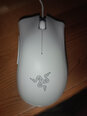 Razer DeathAdder Essential, balta