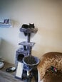 Когтеточка для кошек Feandrea 135 см., светло-серая цена