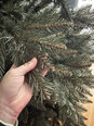 Искусственная рождественская елка Springos CT0082 220 см