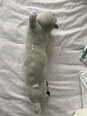 Pliušinis žaislas katė - pagalvė, Pilka, 50cm