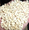 Croci Lettosan kukurūzų kraikas graužikams, 10l. atsiliepimas