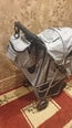 Sulankstomas vežimėlis šunims vidaXL, pilkas, 80 x 46 x 98 cm pigiau