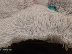 Šuns arba katės lova Springos PA0124 70 cm