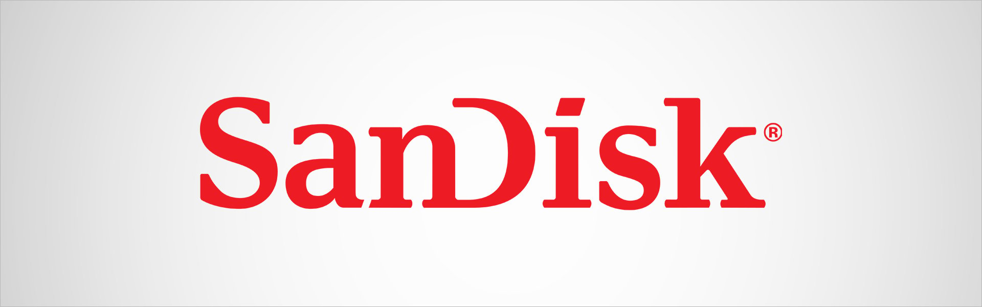 SanDisk SDDDC2-256G-G46 Sandisk