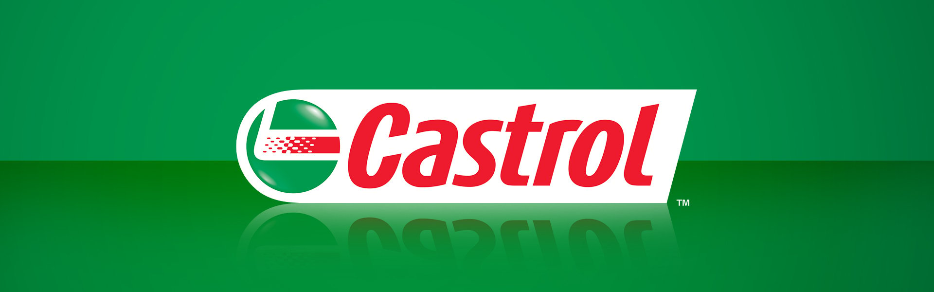 Castrol Power 1 4T 10W40, 1L Castrol