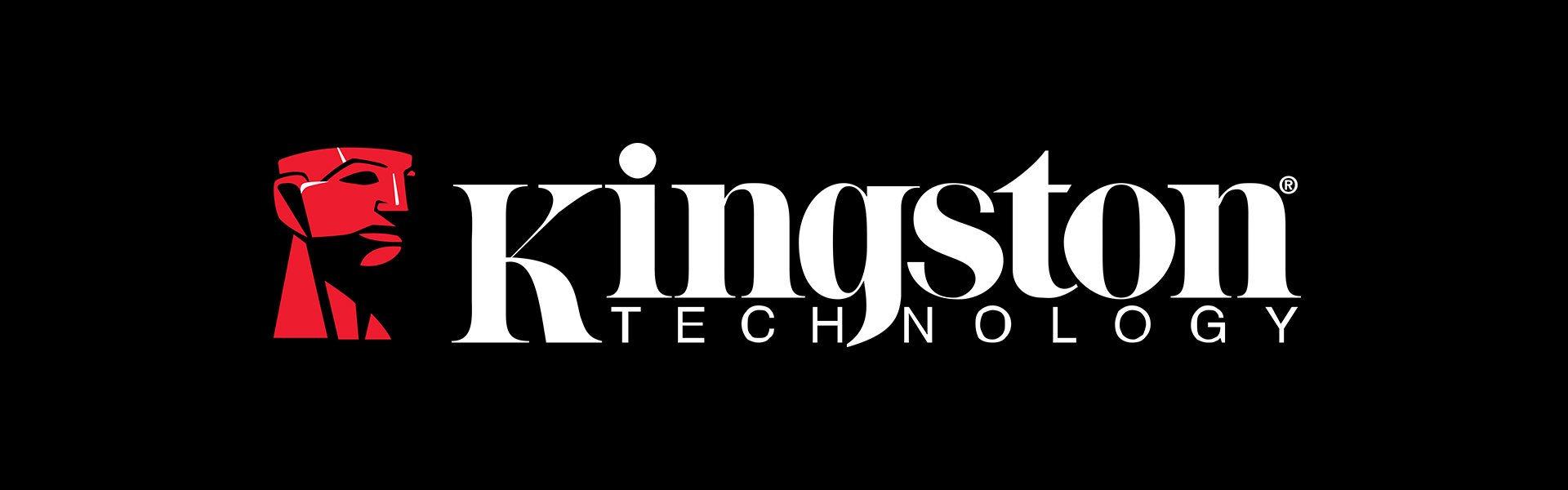 Kingston DT2000/128GB Kingston