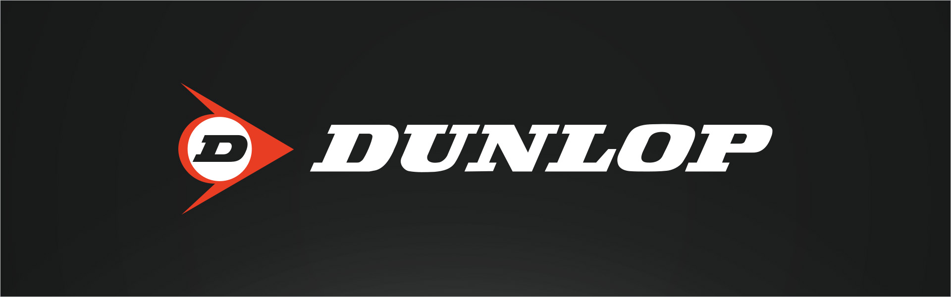 DUNLOP SP Winter Response 2 195/65R15 91T Dunlop