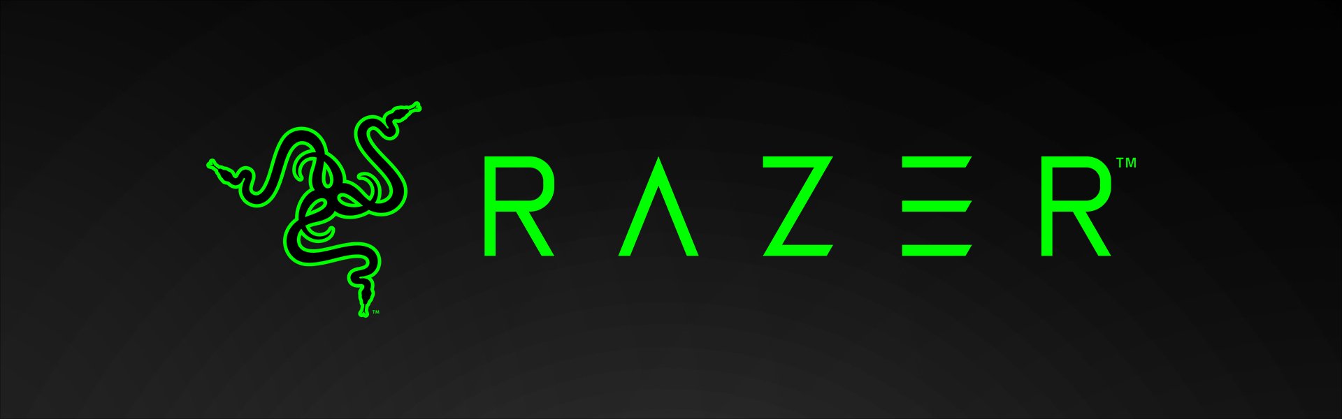 Razer RZ04-03240100-R3M1 BlackShark V2 Razer