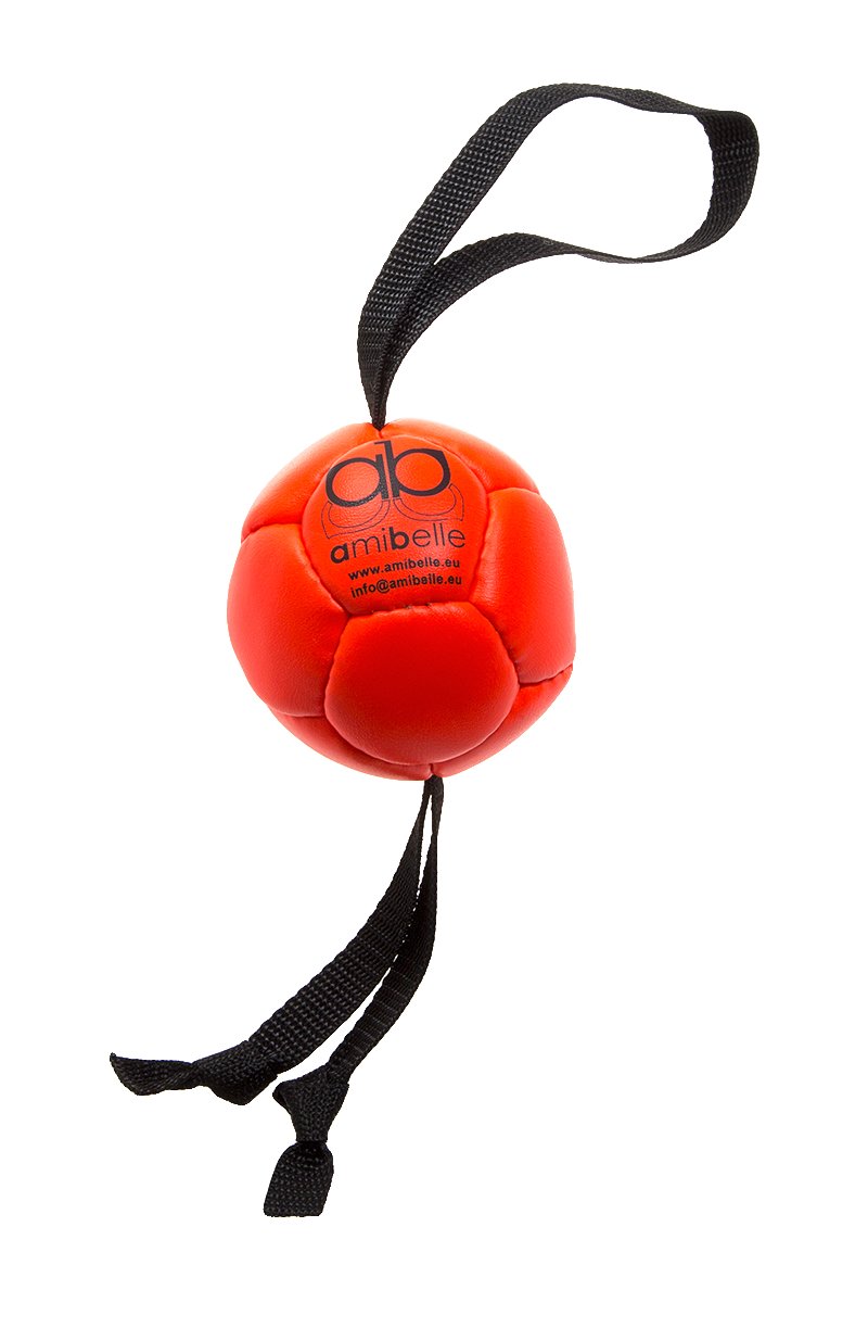 Amibelle mažas kamuolys šunims su silikoniniu užpildu, oranžinis 9 cm