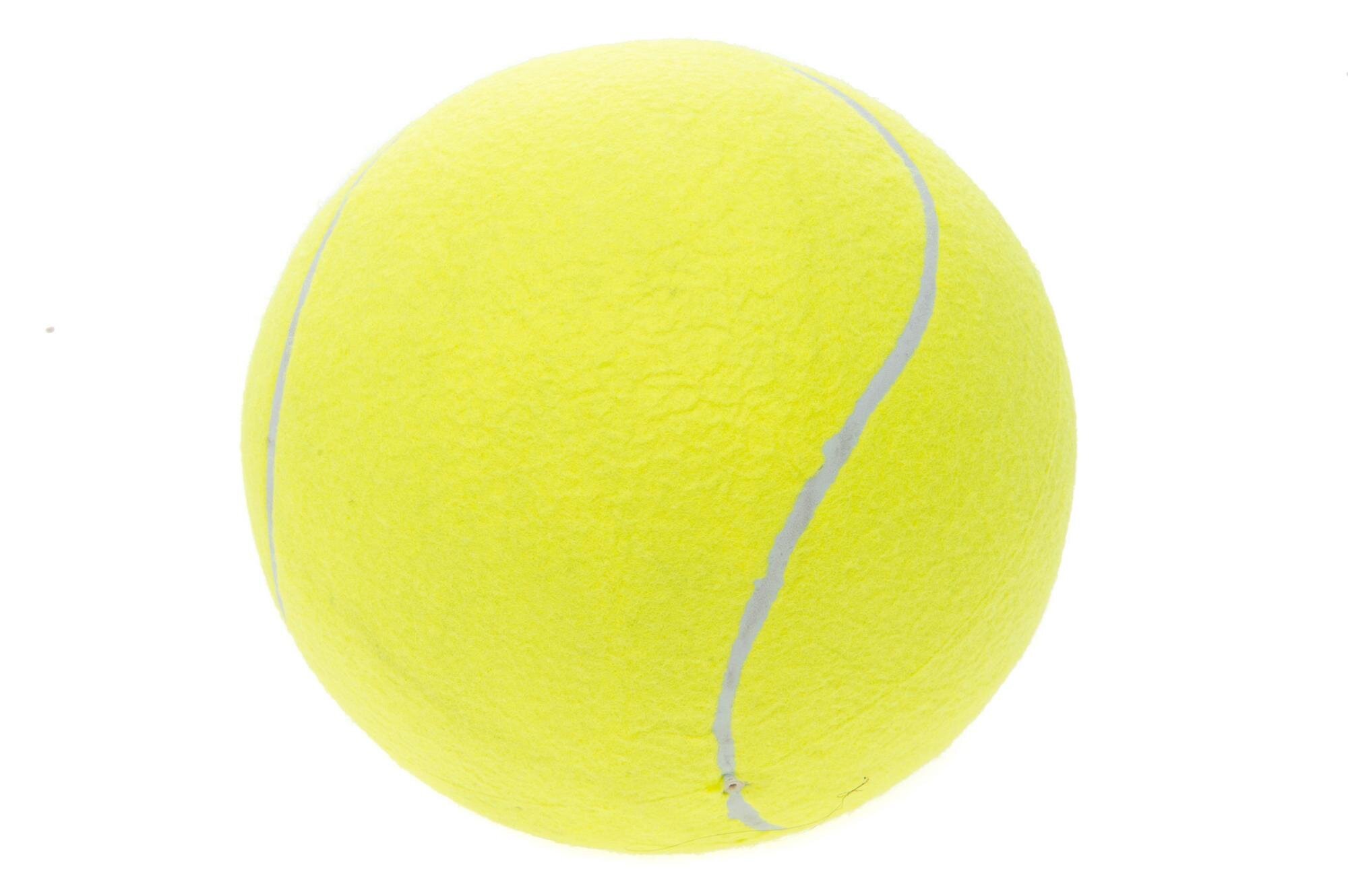 Lauko teniso kamuoliukas Atom Jumbo, 1 vnt.