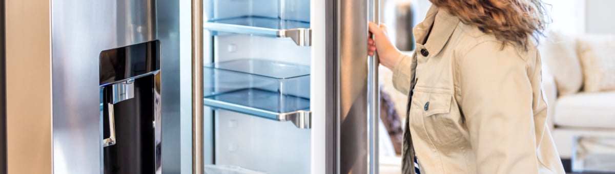 Snaigė: литовский инноватор холодильного оборудования 