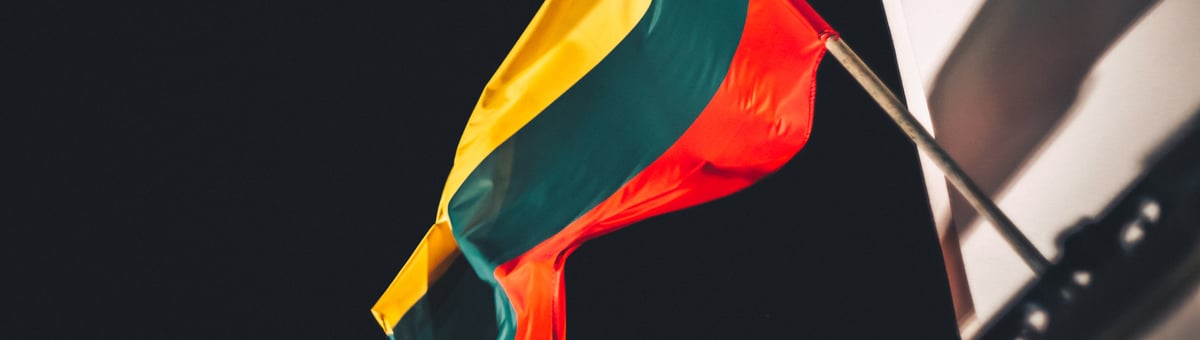 Viskas, ką kiekvienas turi žinoti apie Lietuvos vėliavą