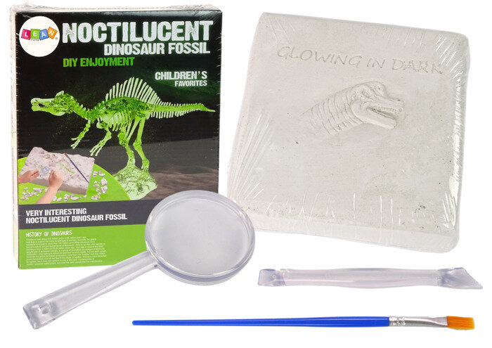 Arheoloogiline kaevamiskomplekt Dinosaurus Lean Toys